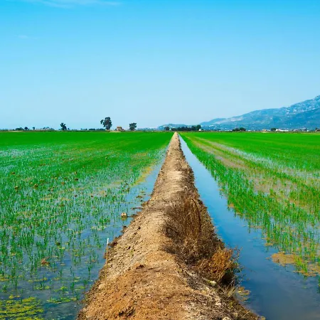 Salvagina 15 By Interhome Nyaraló Deltebre